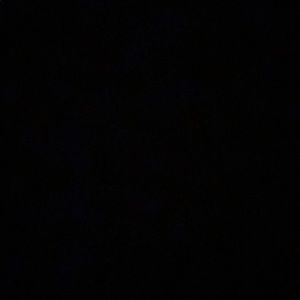 Meet your Posher, Desirae